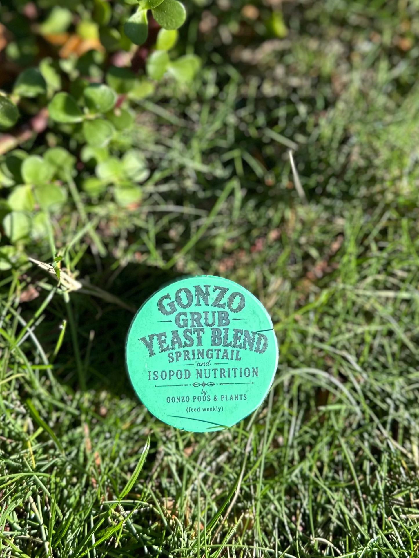 Yeast blend Springtail and isopod nutrition
