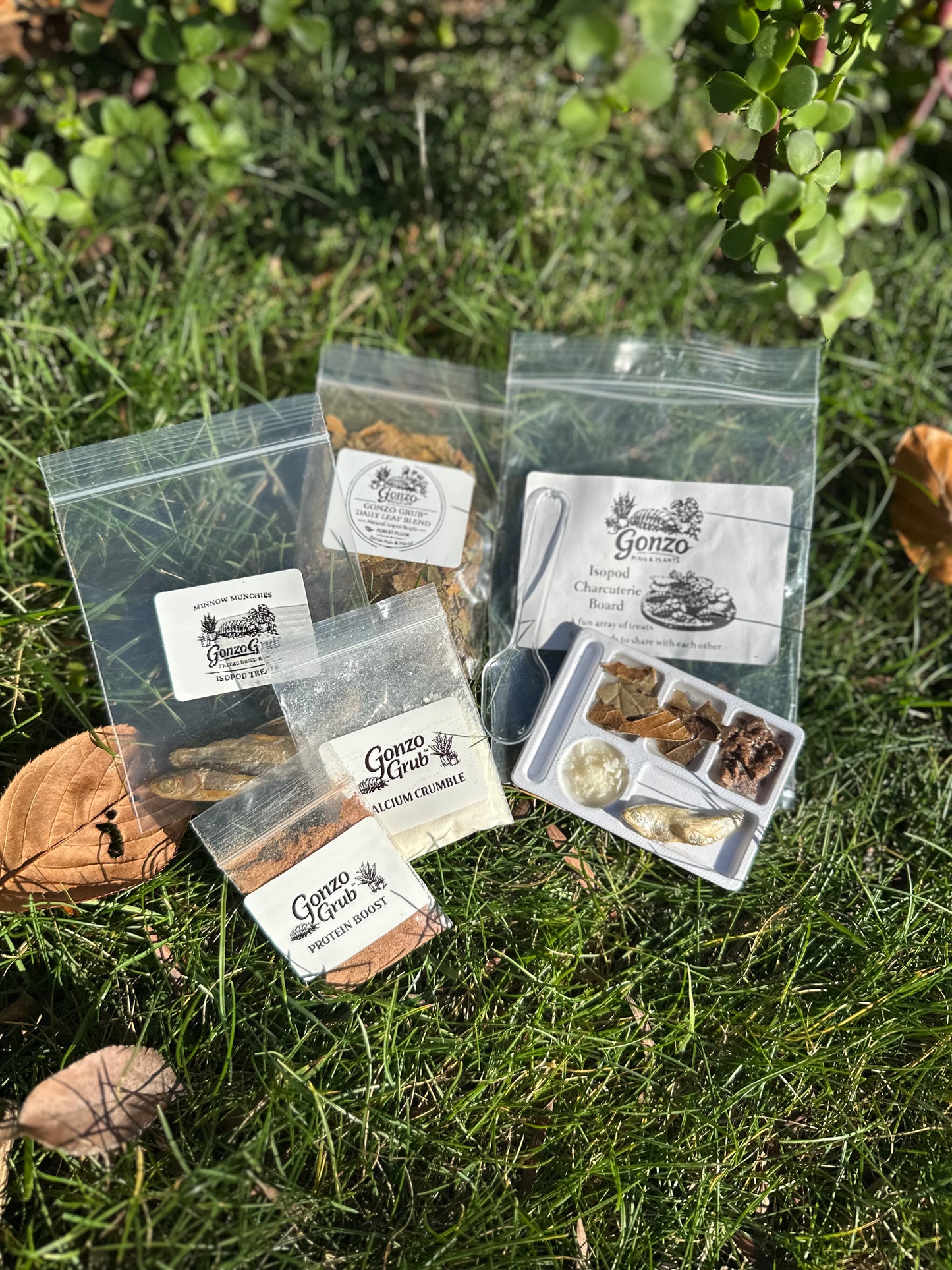 Isopod charcuterie board 