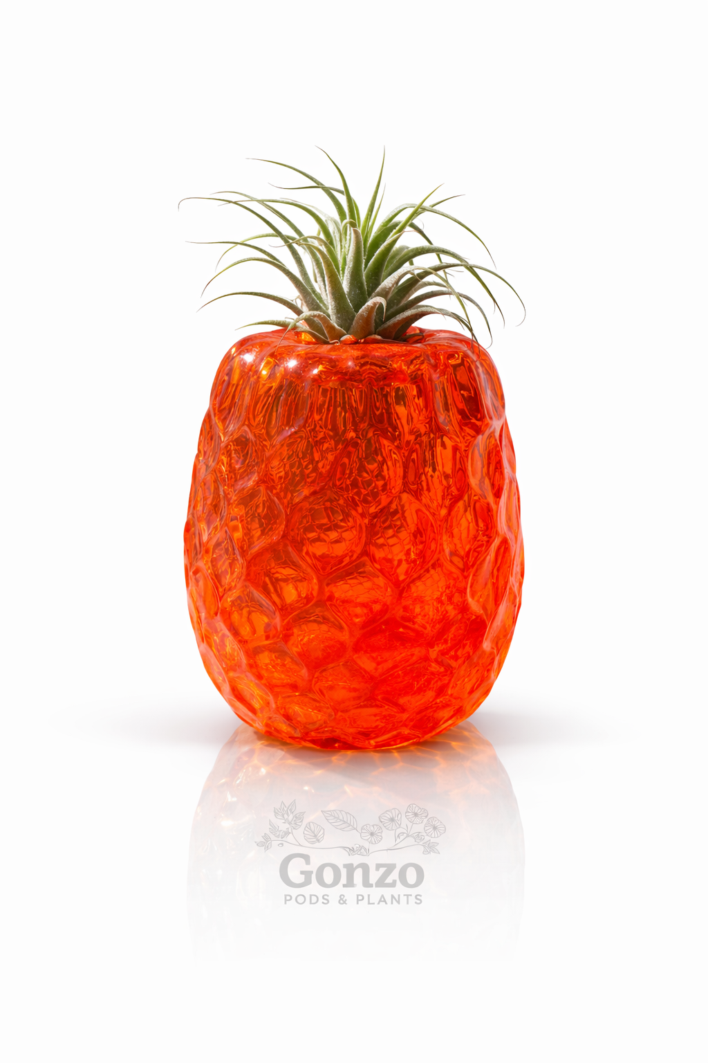Hand blown glass, pineapple, air plant holder 