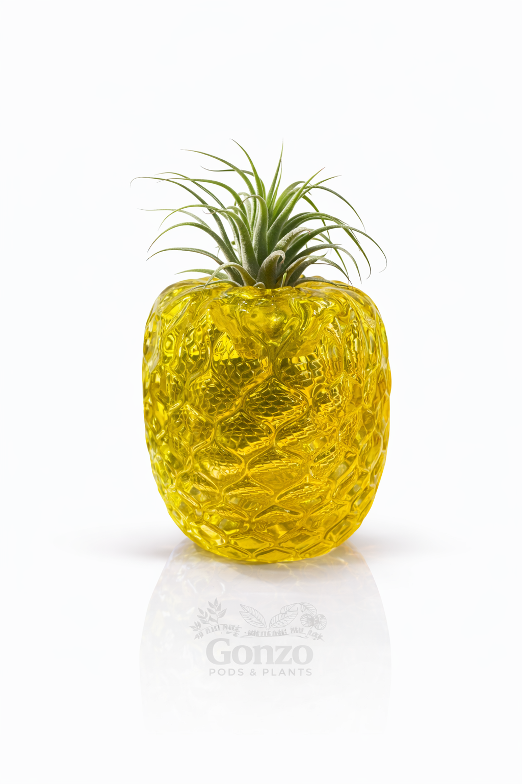 Hand Blown Glass pineapple, air plant holder 