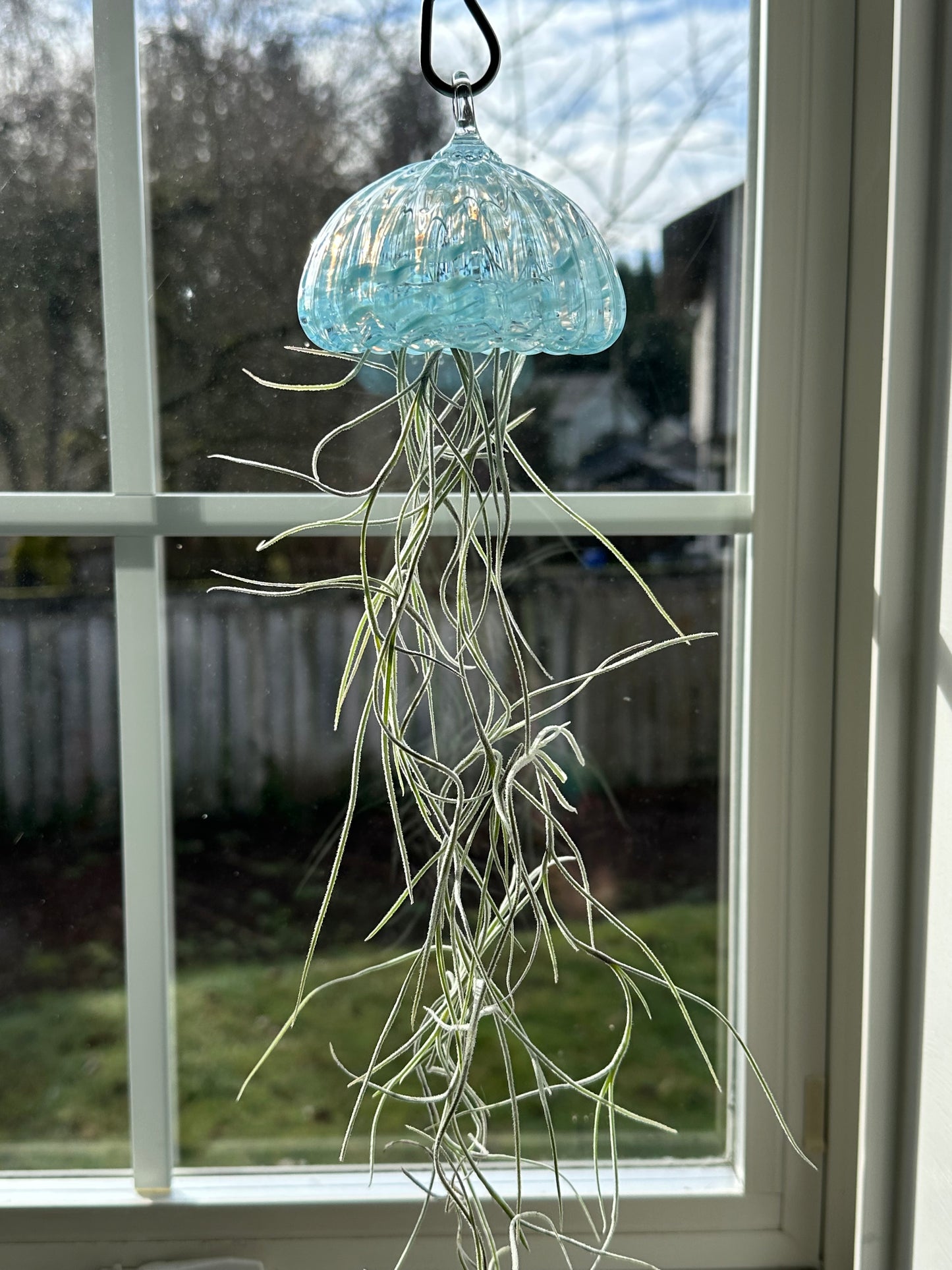 Hand blown jellyfish air plant holder