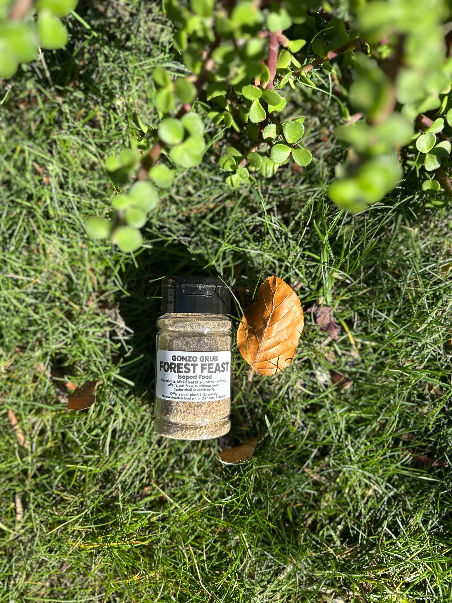 Forest Feast Isopod Food