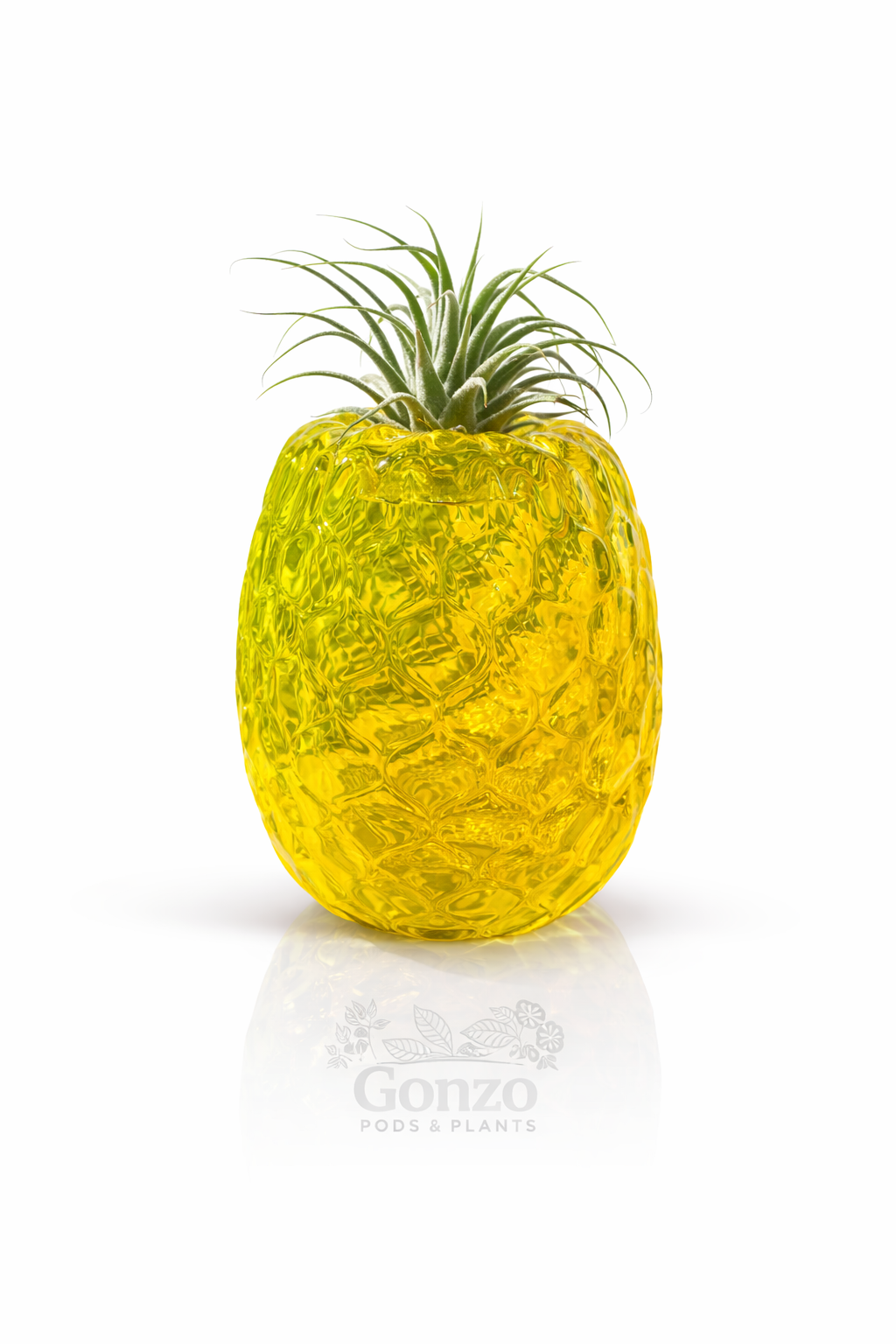 Hand Blown Glass pineapple, air plant holder ￼